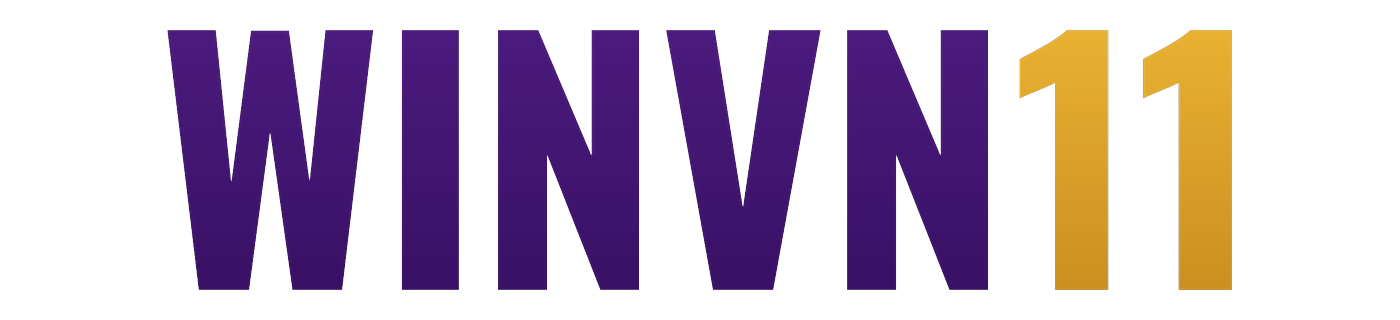 winvn11